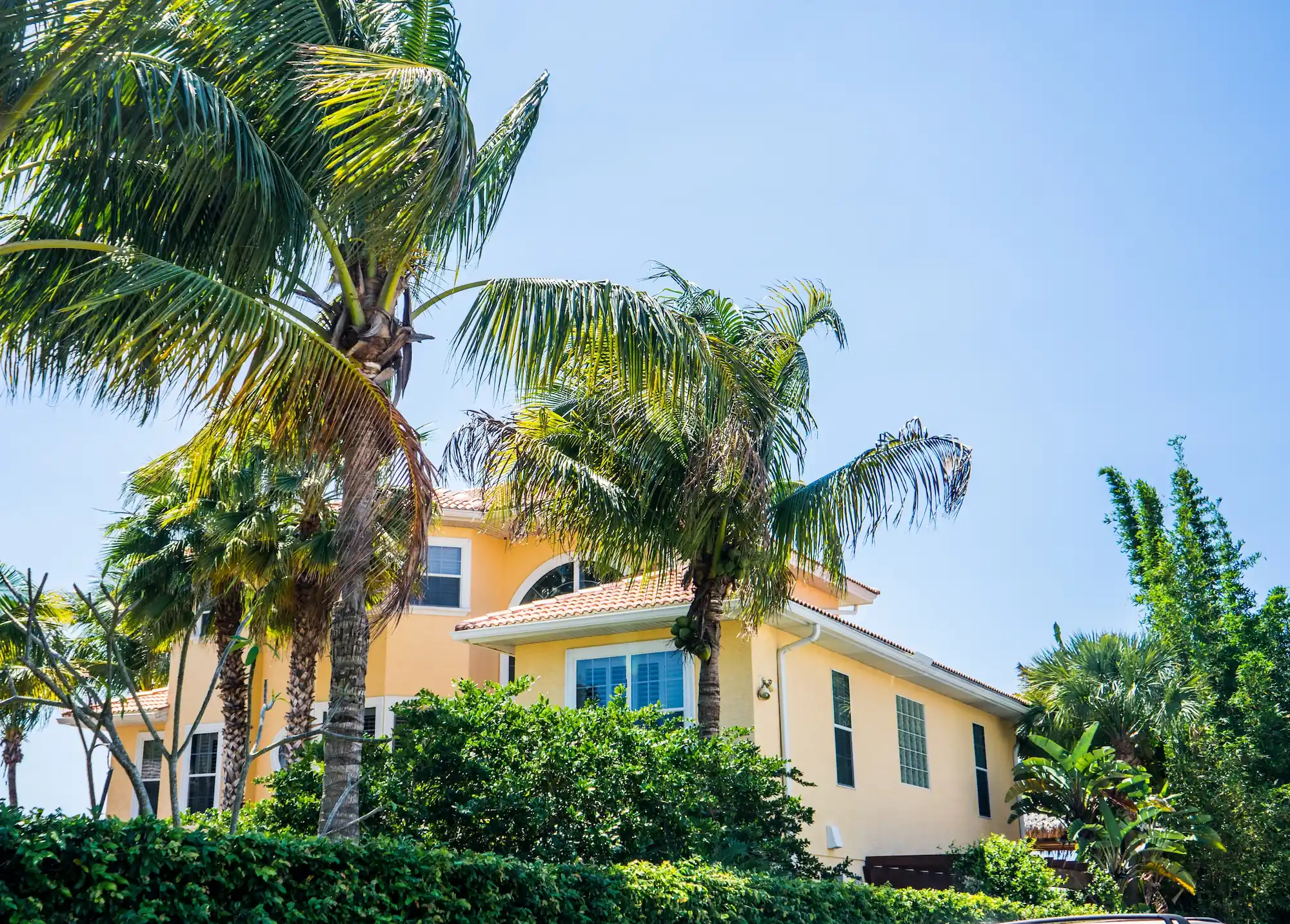 Florida home with Palm Trees